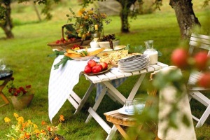 Что взять на пикник из еды и продуктов – список, что приготовить на пикник для всей семьи